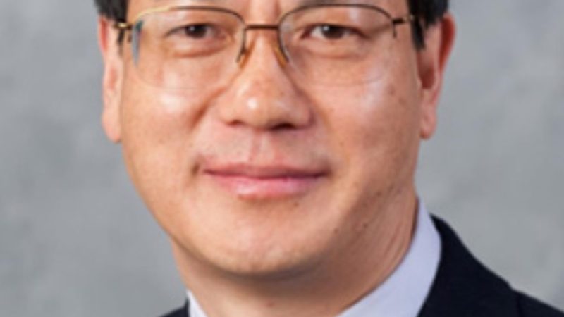 电子元器件芯片批发：揭秘批发报价平台的选择之道**
