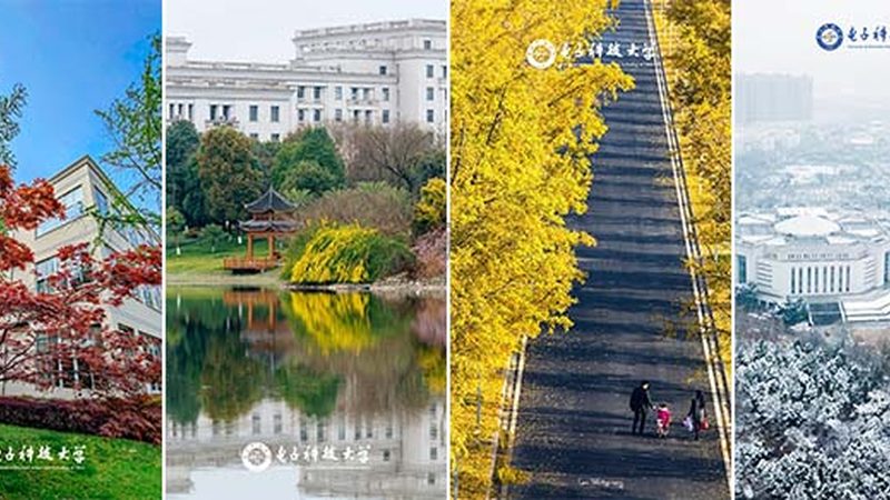 深圳电阻规格参数表：揭秘电阻的“内在修养