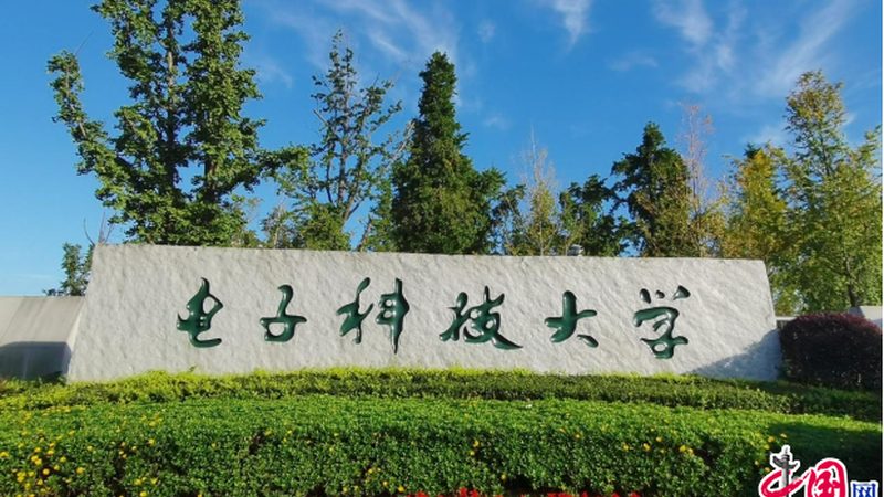 新手入行，成都电子批发市场探秘